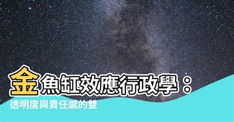 金魚缸效應行政學|金魚缸效應